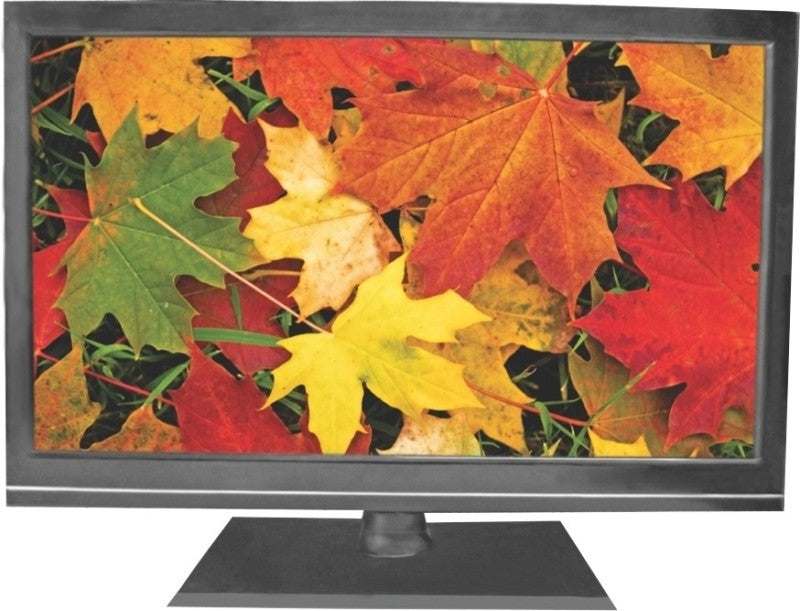 Salora 59cm (23.22) HD Ready LED TV(SLV 2401, 1 x HDMI, 1 x USB)